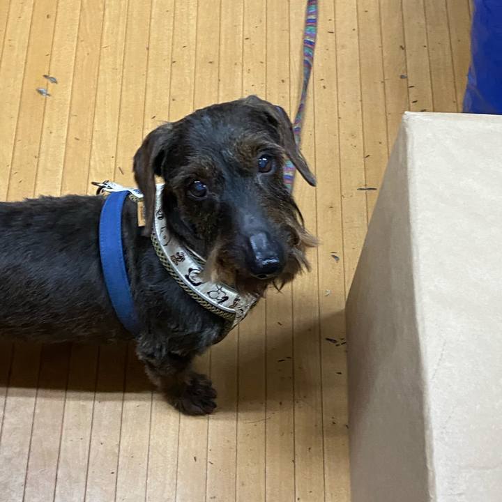 56a760f6 7a3c 457b 96f7 2b6cfd71c70f 1619082147384