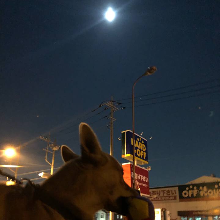 56a77e76 aea8 40f8 b2aa af27a8479062 1545571885503