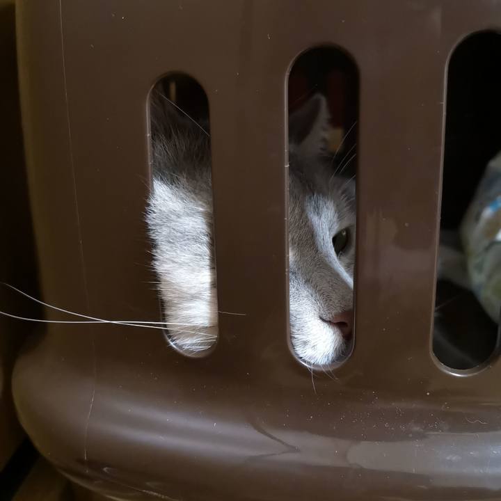 56a7a872 d99e 45c5 8fea 204597788125 1567087237506