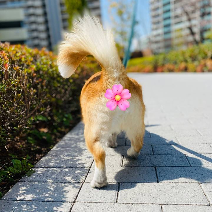 56a7c2ab 325e 4bb5 a753 3a513cf9e0c3 1585291802137