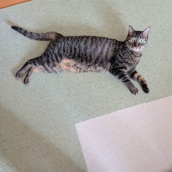 56a80870 344d 4ec9 b3a0 9df3aa69955f 1774850350256