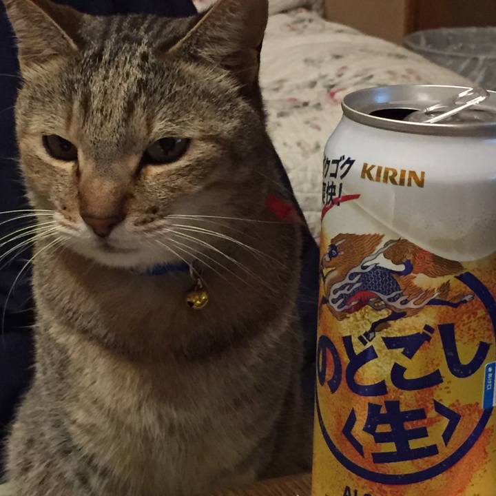 56a8445d 039b 4c14 9f1f 19eccb9ec462 1551355433728