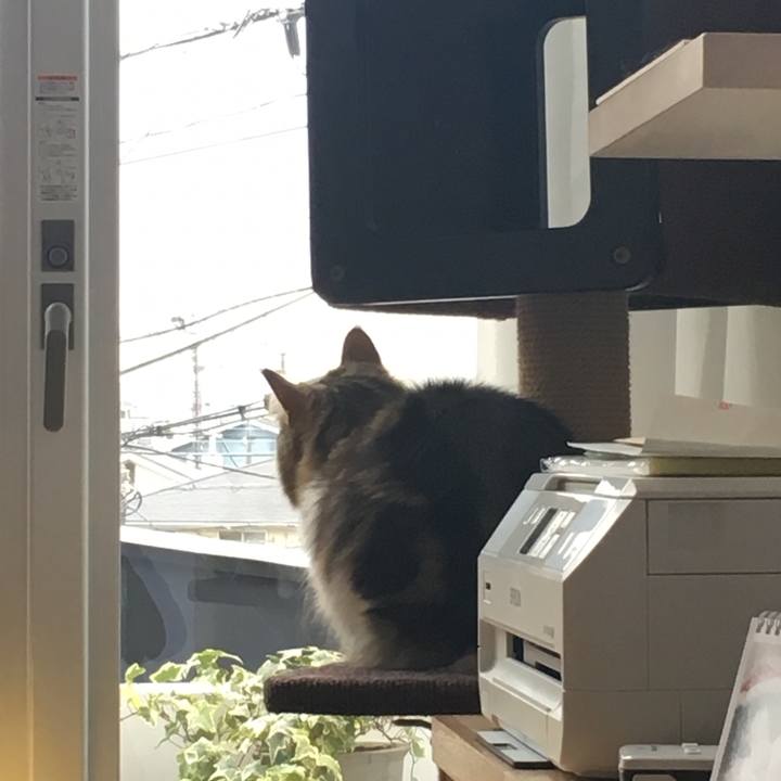 56a8570d 8c7b 4444 8d59 5b833ef0f3b4 1513343014142