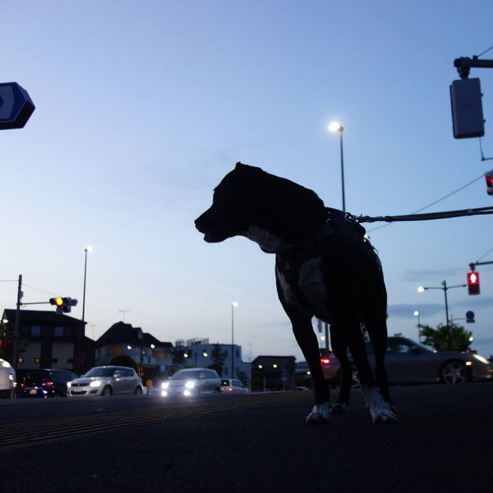 56a89854 5582 4a17 8fa7 9fec21f14172 1651315442626