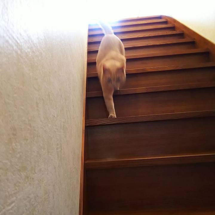 56a89c37 5365 436e 9396 0880607e53a1 1662788934713