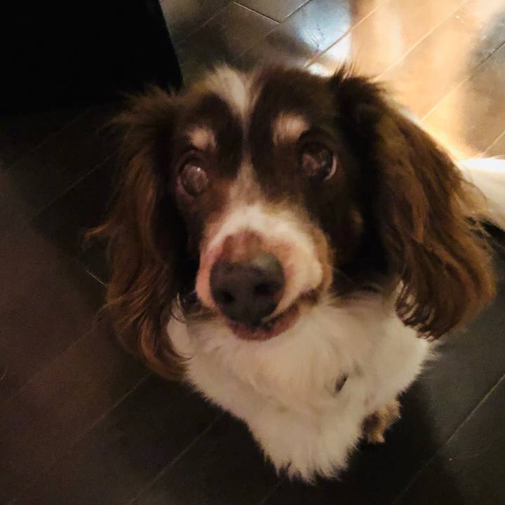 56a8aa09 21a9 4096 a4e6 66ff37c2a0a3 1555682795267