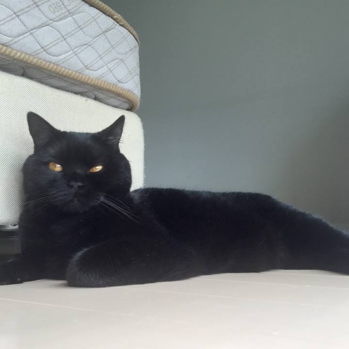 56a8da6d 9c8b 41e4 8cdb 859f899a14bf 1591066607673