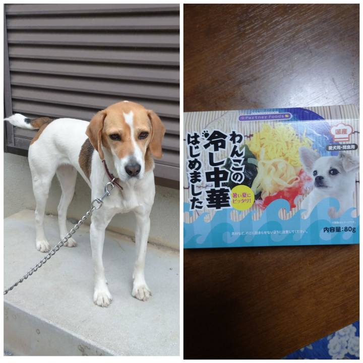 56a8df1f 46f1 4977 bb6e 11dd1dcf0eea 1592650608036