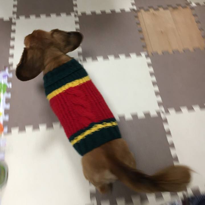 56a8e911 ffaa 4ed9 a7e9 8bce131799ee 1578579282268