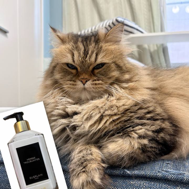 56a91d65 0d5c 4565 9abc fcebce078da9 1774739458077