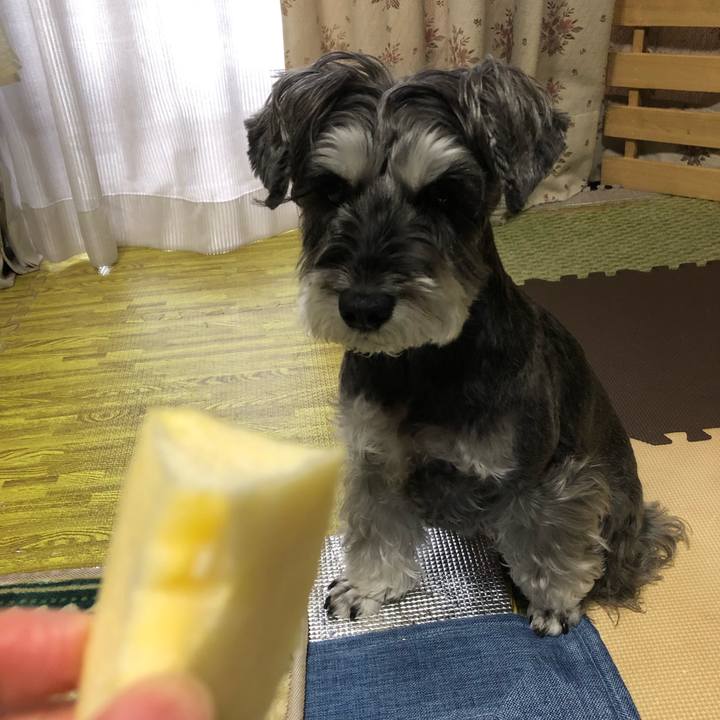 56a98524 c997 438a 9092 55c5d10ce11a 1669172365325