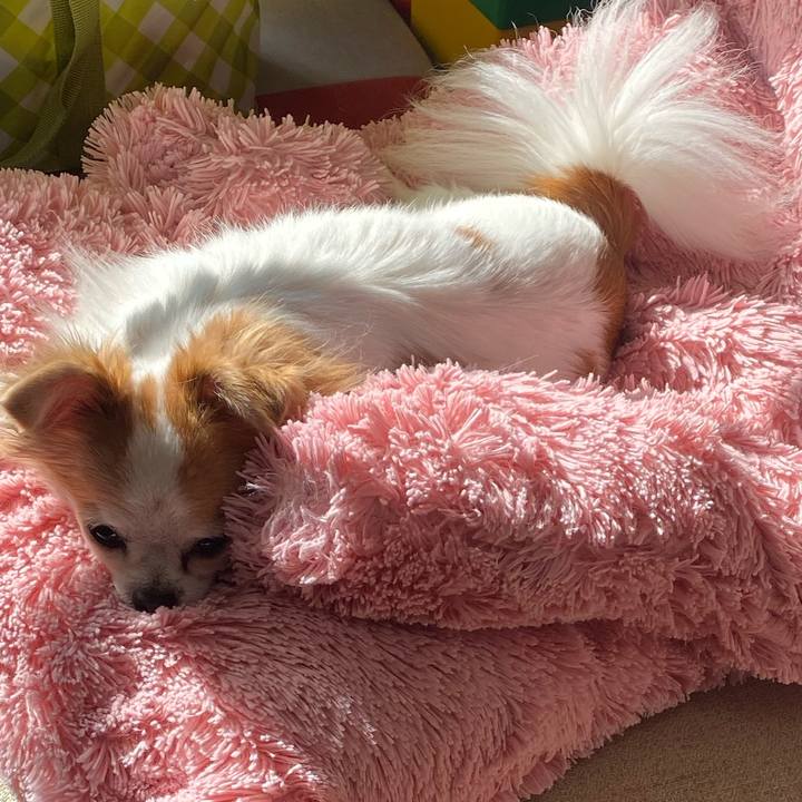 56a985c6 9324 4410 ab06 e4c55d593ba3 1577762011934