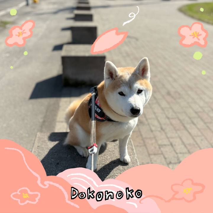 56a9a6e0 e37c 40d1 a068 d6c1b31873b8 1775720463378