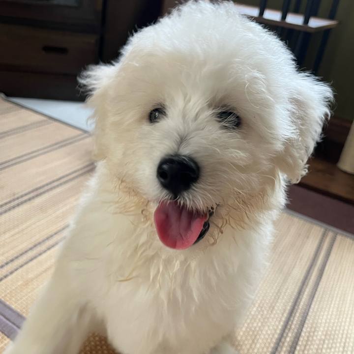 56a9c91a 3835 41ce b28a ab96322bf418 1786492424350
