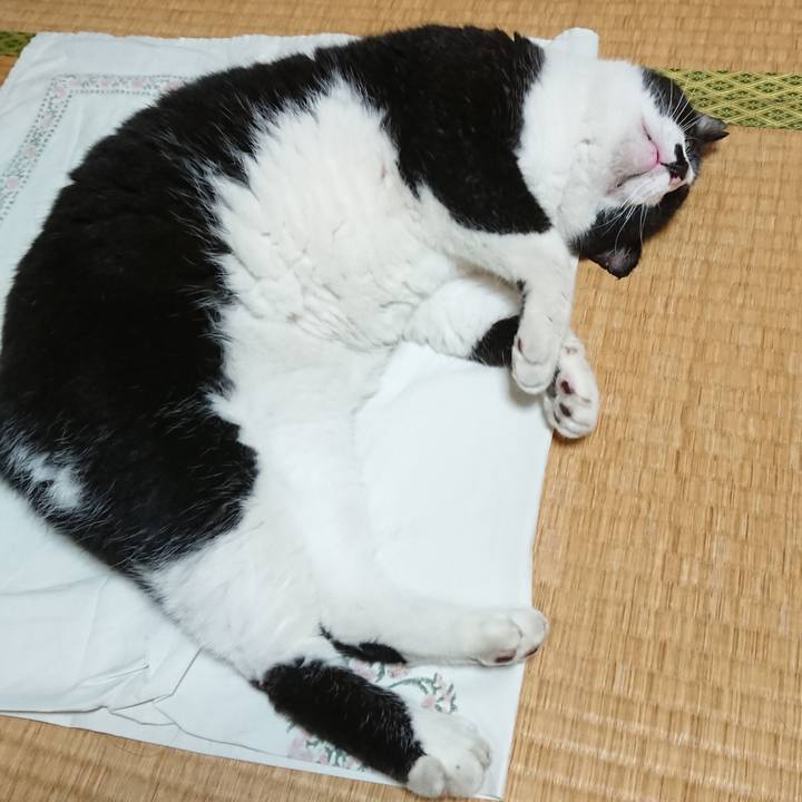 56a9e775 7a61 4c62 9a56 87e256403220 1625630053079