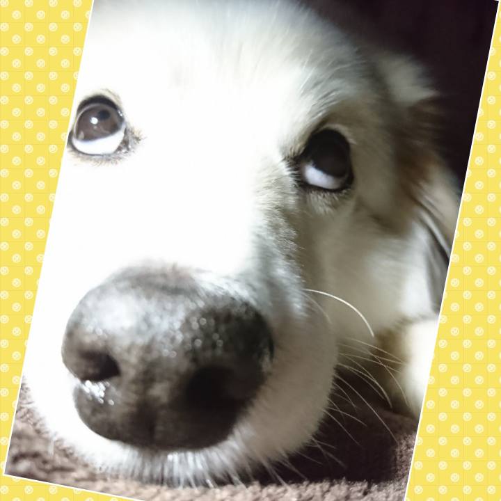 56a9f524 b8ad 4e3f 991b 433df8af1683 1525742238144