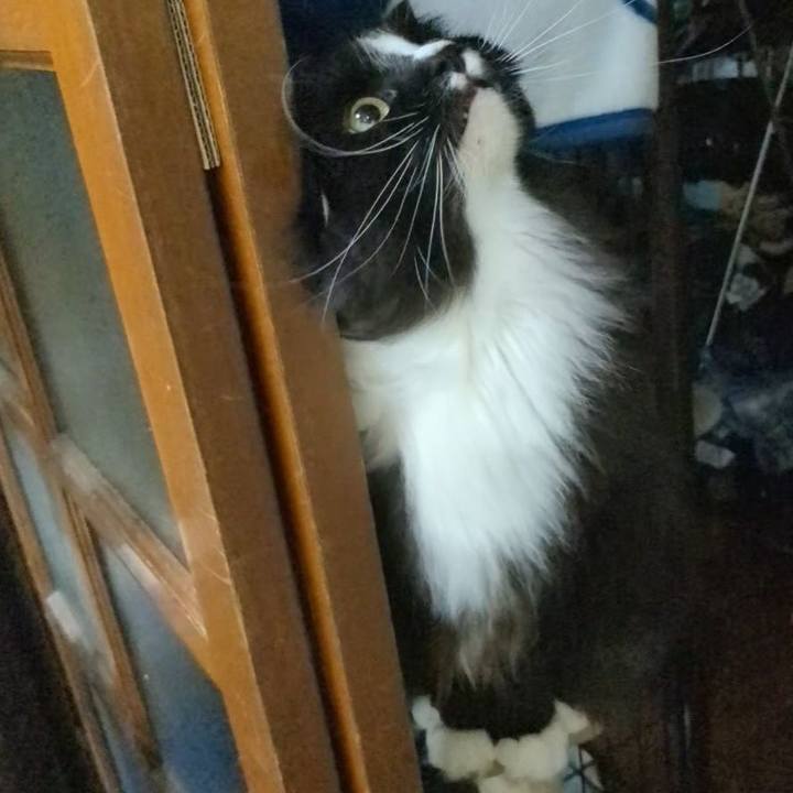 56aa0dc4 eeb6 48eb 8651 701d10680c89 1719140388187