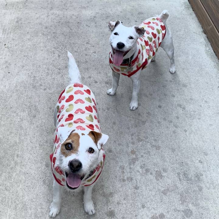 56aa3089 f548 4762 80c8 972365179ee2 1581905705095