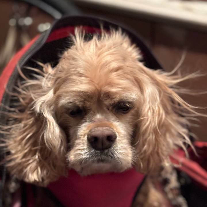 56aa5c17 f1a7 4abc 9484 3cb42a120c64 1768230077723