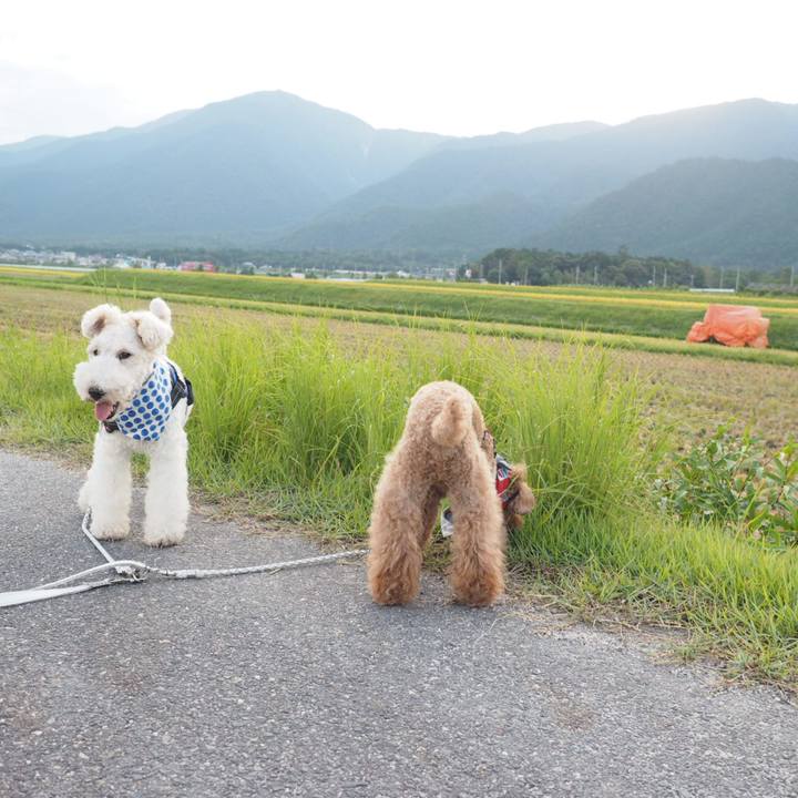 56aae4e4 e7a1 4299 bc00 691a881f1086 1566773001362