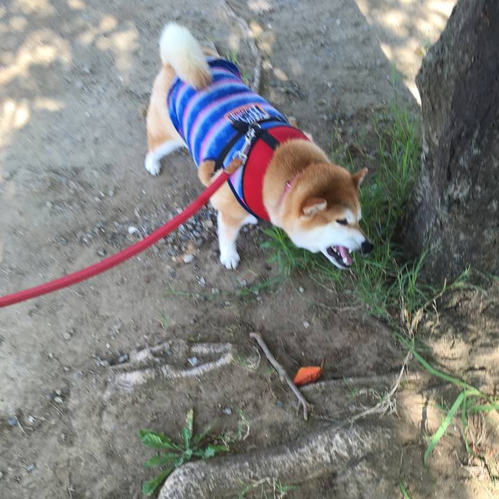 56aaf0fd 87a8 41c4 aa8c 5f3147084120 1596758260631