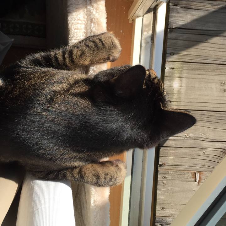 56ab0310 42f4 4722 a12d e760361f6f26 1539477060805