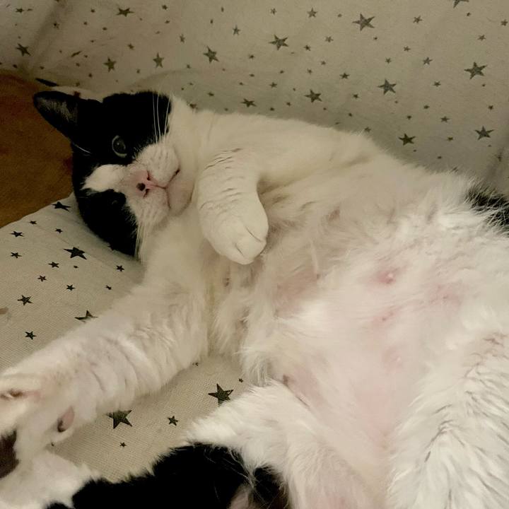 56ab5b66 4c90 4363 bdd0 a1b1f12e9aea 1655159781909