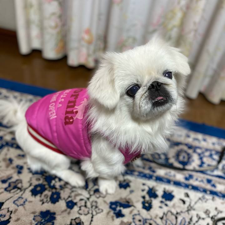 56ab7fdb 5c70 414a 85e3 344e1d155b85 1608202721188