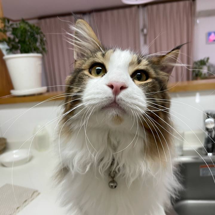 56ab814b 0c02 4fbf 8ca1 ce3663f3c090 1643314866113