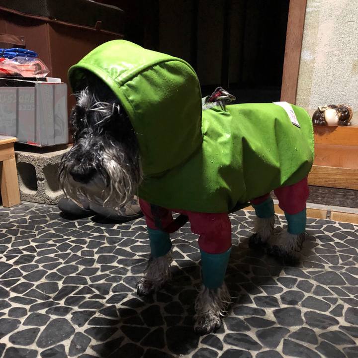 56ab991a 7fe1 4c1b bfa0 f106e4028940 1685702808091