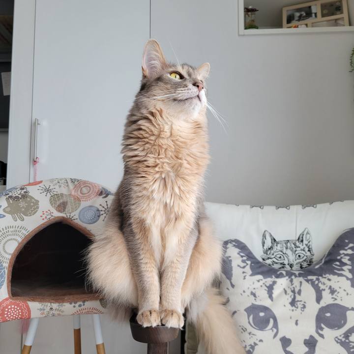 56ababa6 6463 4fc0 9208 70e86ab9927b 1653023781346