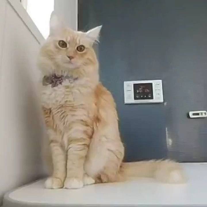 56abc395 f96a 4eef a50f b46c960ae0c8 1639816094340