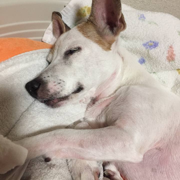 56ac1599 5458 4eb8 8717 f1f429d5deed 1540643784061