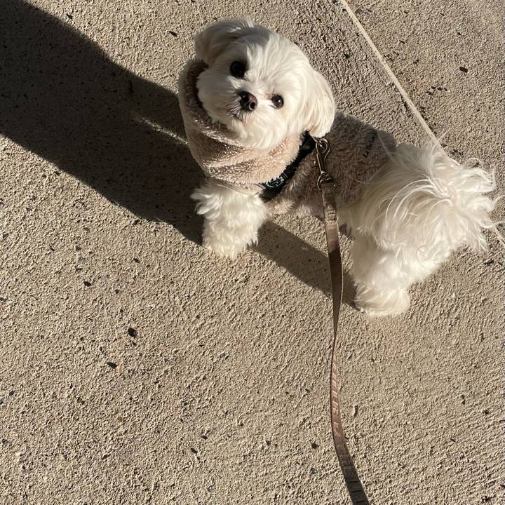 56ac8f41 5c18 45cf b1bc 2add16ee2ad4 1765036927002