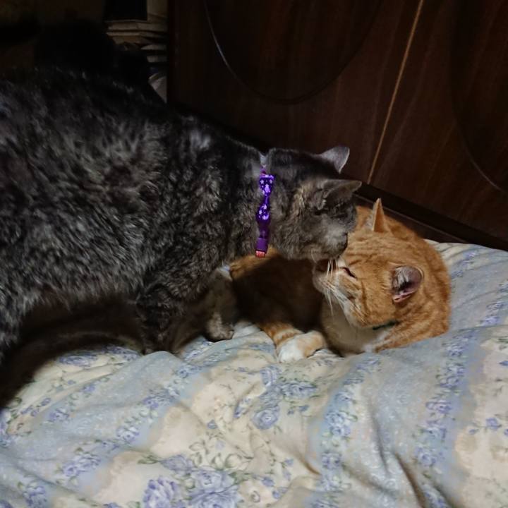 56ad0c7d 3f72 4637 8ec6 3b0a55988945 1581942708091