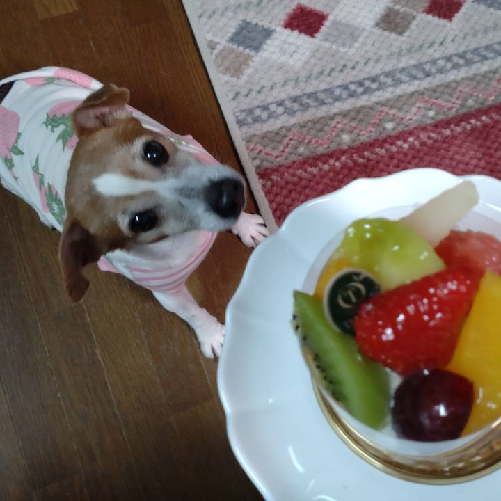 56ad1004 1f85 40b9 b7cb 5a09c691b7d2 1771329110791