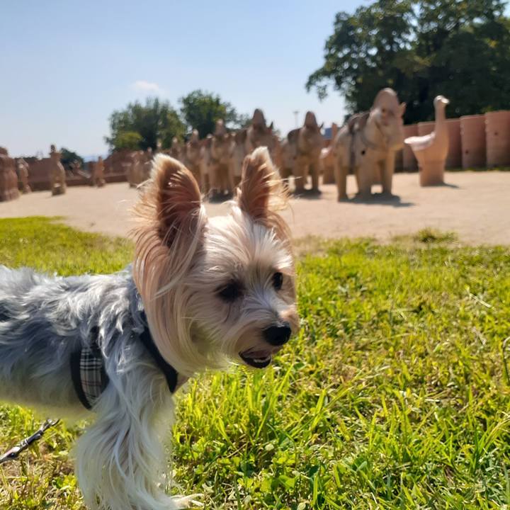 56ad5f31 505d 401c b181 cbe2dae7da5f 1632537809527