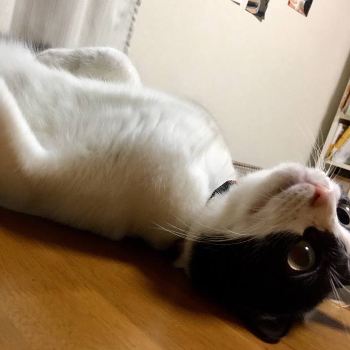 56ad6bb2 4738 4f05 954b c0d356e83c75 1539304799659