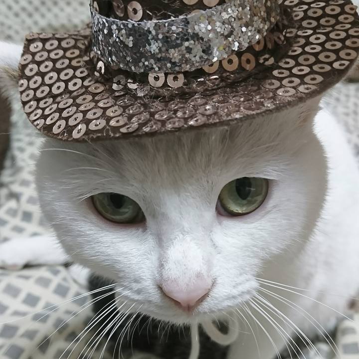 56ad7c1c 9125 47f2 a27f 3de468294163 1509460389979