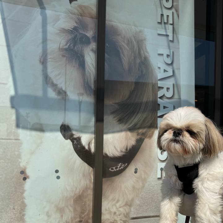 56ad81d5 d215 40bc a77c d7c9e99ea165 1772274273922