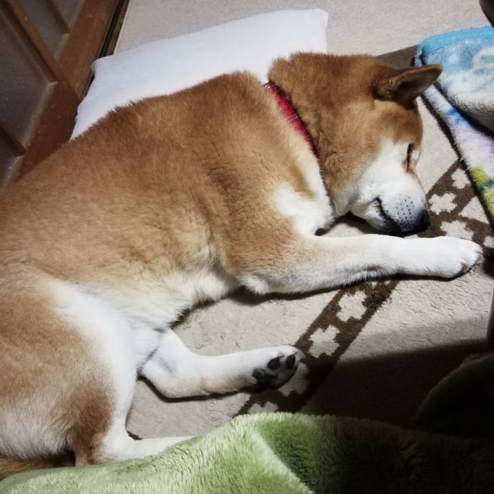 56ad8ba4 fc4d 4ba6 8b15 af381343206d 1614297487105