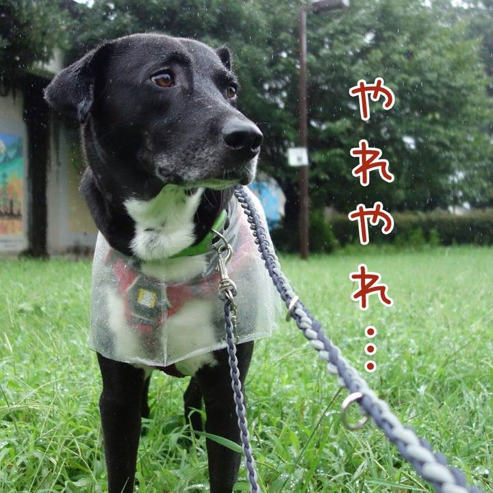 56ae0f99 a89f 4847 bd4a 9e95656d38d5 1630626053842