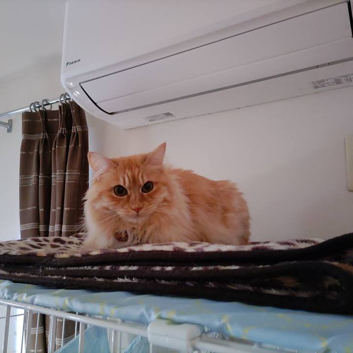 56aea761 3c89 4b88 81a2 1773384aab9a 1683669681254