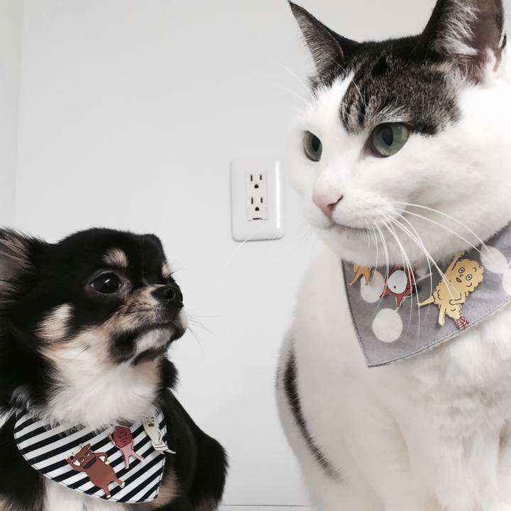 56aeb736 0152 4b5f a1df 6c174cfaad30 1517574063159