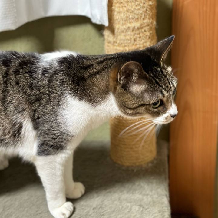 56aecf5b 67a6 4edb 9a6d 6dc65145c57b 1672368303134