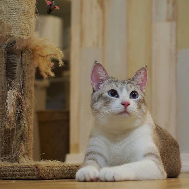 56af60af 7c2a 4c5b b511 661c6c7f1d4d 1537704385853