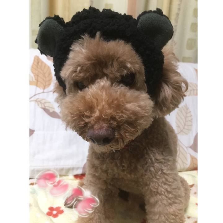 56af8a13 710c 441a a021 761e58ed85d8 1537354161611