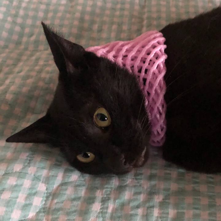 56af8e02 685a 4cf7 998f 5c897ceb6542 1691401328320