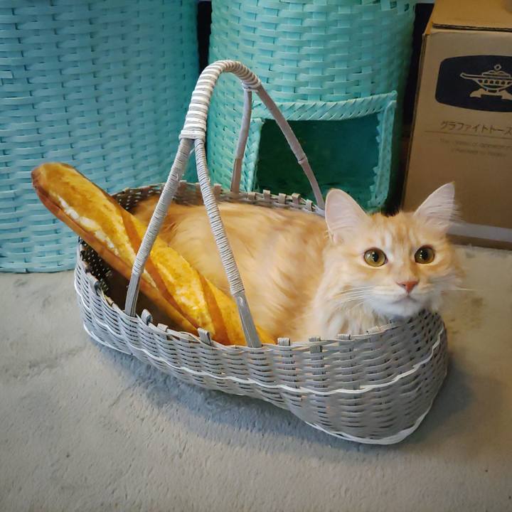 56af957d 42b0 427e 89f8 9df8f8782d0a 1661069966003