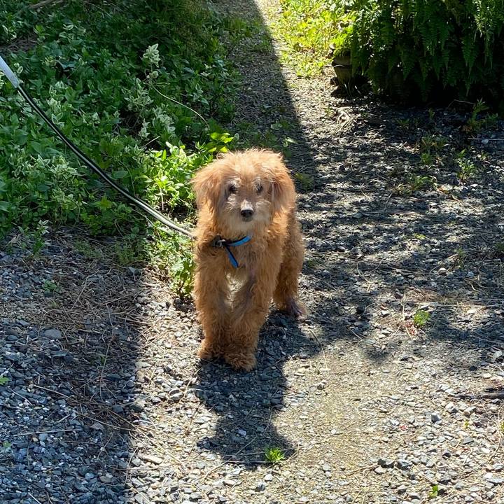 56afb6a3 bd03 42d1 a954 8e0b074b9e28 1749023195101